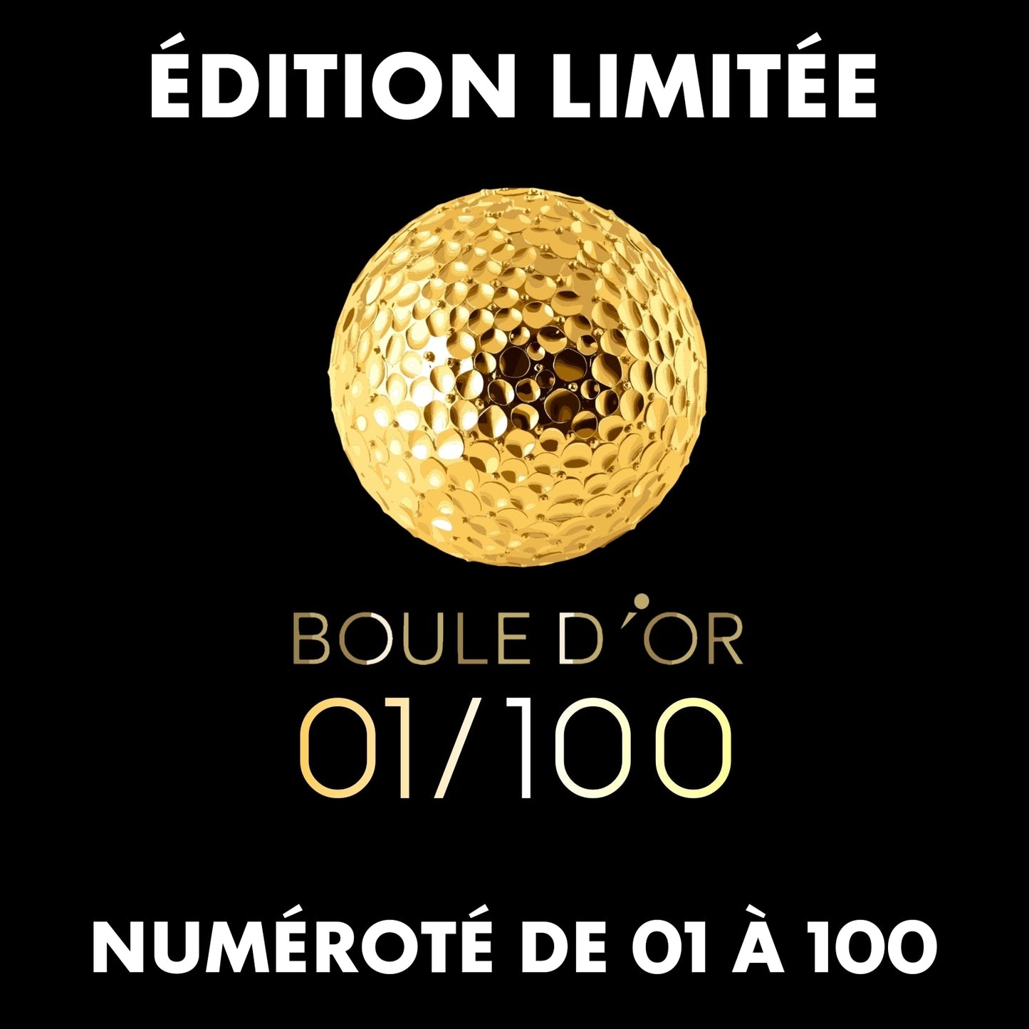 𝗚𝗢𝗧𝗜𝗡 Édition Limité 100 exemplaires Boule d'or 🟡 𝙈𝙞𝙭𝙩𝙚